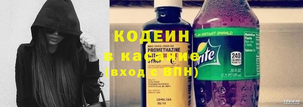 МДПВ Карпинск