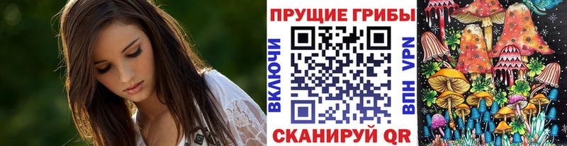 Псилоцибиновые грибы Psilocybine cubensis  Макаров 